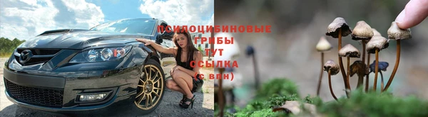 прущие крисы Абинск